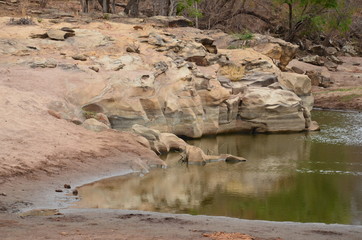 The African landscape. Zimbabwe.