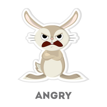 Isolated angry rabbit.