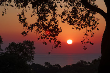 Fototapeta premium Corsica coast sunset