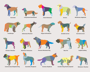 Vector set of colorful mosaic dogs silhouettes