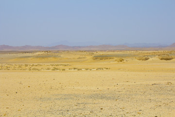 in Egypt at the sunset Sandy desert