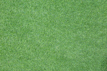 green grass texture background