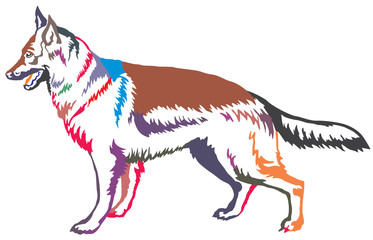 Fototapeta na wymiar Colorful decorative standing portrait of dog german shepherd vector illustration