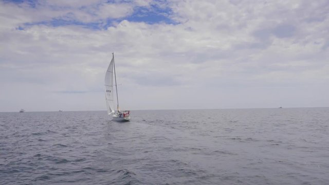 sailboat in summer on the lake ontario toronto