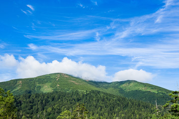 Fototapeta premium 尾瀬・至仏山・夏山