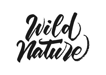 Vector illustration: Handwritten brush lettering of Wild Nature on white background.
