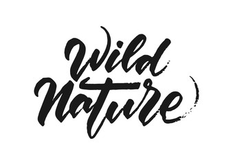 Fototapeta premium Vector illustration: Handwritten grunge brush lettering of Wild Nature on white background. 