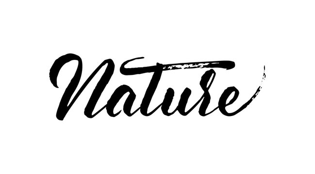Vector illustration: Handwritten brush ink lettering of Nature on white background.