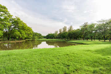 Green grass field in park at city center
