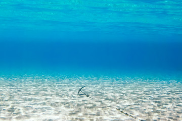 Underwater scene in tropical sandy beach, Koufonisi island, Crete, Greece.