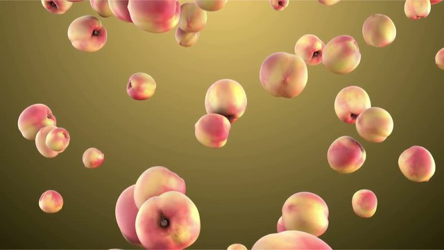 3d render apricot falling in front of bright background. CG animation. Fructs in slow motion - closeup. Loopable animation.