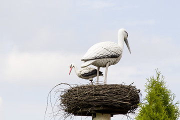stork