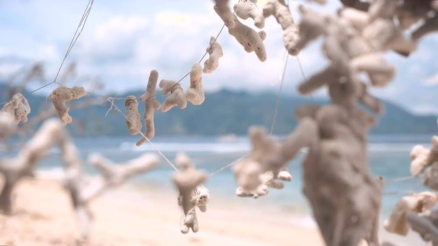 Garland of dry white corals on beach with blurred background, Gili Meno, Indonesia. Shot with Sony a7s and Atomos Ninja Flame on sunny day, dolly slide