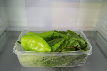 Green vegetable (salad and pepper) in the plastic food container on a shelf of a fridge.