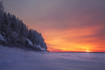 winter forest by the river illuminated by the evening light of the sun