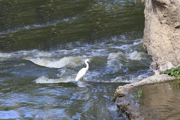 Parking in the courtyard ...