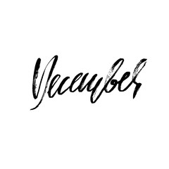 Hand drawn typography lettering. December. Month inscription. Vector Illustration.