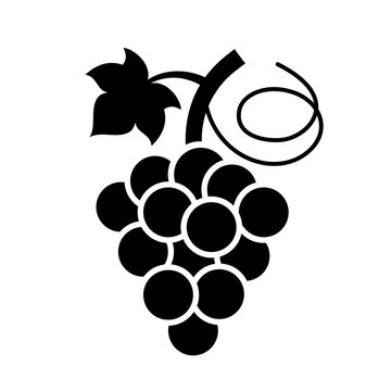 Bunch of grapes vector icon