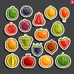 Vector Set icons of colorful Fruits and Berries: collection of exsotic fruit primitive logos isolated on black background, set of cartoon simple stickers for juice or candy, abstract fruits pictograms