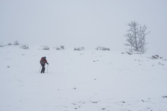 Adventurer climbs to the mountain pass in a fog