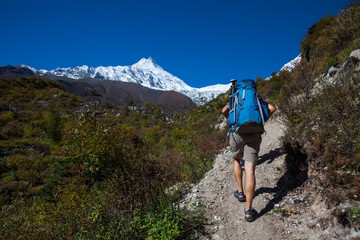 Naklejka na ściany i meble Hiker in highlands of Himalayas on Manaslu circuit