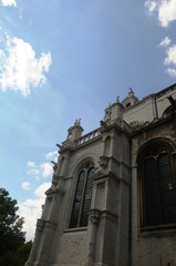 Fototapety na wymiar - Fototapeta24.pl