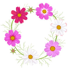 Flowers Cosmos. Beautiful floral background. Round frame. Wildflowers. Wreath. Border. Pattern.