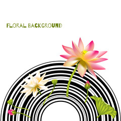 Lotus flowers. Beautiful floral background. Asia. Disk. Buddhism. SPA-center. Water lily. Exotics. Tropics. Creative design of rings and lotuses. Border. Frame.