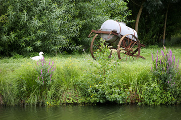 marais poitevin 