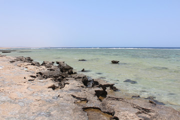 Red Sea beach Red sea Egypt