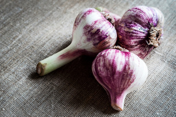 Fresh garlic on a background.
