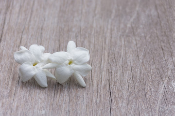 Fototapeta na wymiar Two jasmine flowers placed on a wooden floor.
