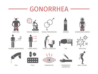 GMO. Genetically modified organism. Flat icons set. Vector signs