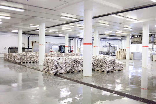 Pallets of Salted Cod fish lie on the floor of a processing factory in Ålesund in Norway