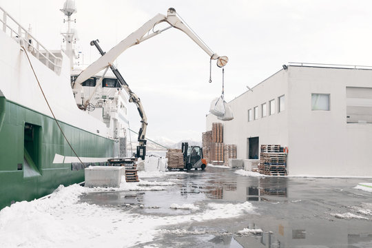 A Norwegian fishing boat unloads its cargo in the port of Ålesund