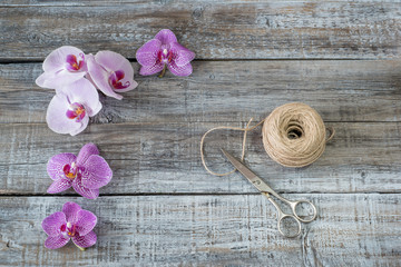 Fresh rose orchid flowers on the  vintage wooden background