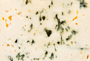 Blue cheese isolated