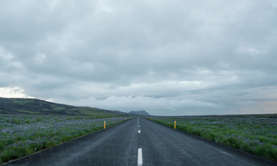 Road in Valley National Park Landmannalaugar, Iceland in the July