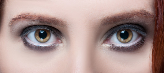Obraz premium Woman's hazel eyes with makeup and brown eyebrows