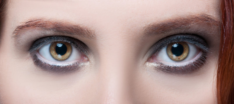Woman's hazel eyes with makeup and brown eyebrows