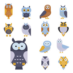 Cartoon owl bird cute character symbol sleep sweet owlet vector illustration.