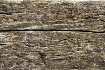 Wooden texture