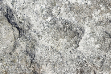 Stone texture