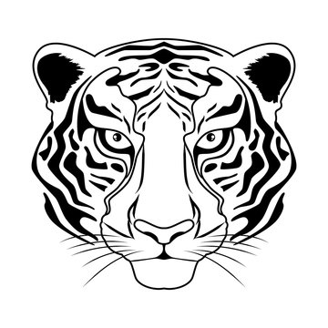 Tiger head vector illustration in black and white
