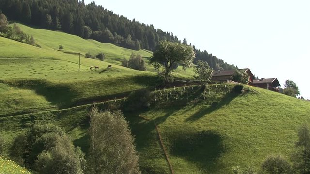 Pustertal, Pustertaler H&ouml;henstra&szlig;e, Kulturland, Assling, D&ouml;rfl, Penzendorf, Wiese, Bergwiese, Osttirol, Licht, Schatten, Sonne, Stra&szlig;e