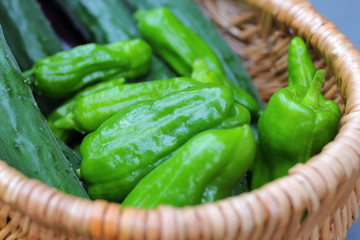 採れたての緑色の野菜