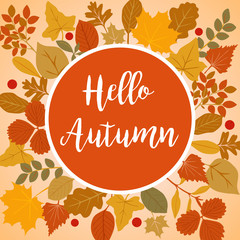 Hello autumn vector illustration with autumn yellow, red and orange leaves and light yellow background