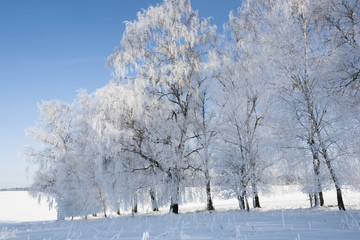 Winterlandschaft in Bayern