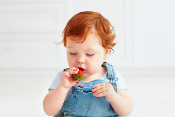 cute ginger toddler baby tasting strawberries