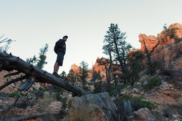Fototapeta na wymiar Hiker standing on the dead wood at rocky terrain in the Bryce Canyon National Park, USA